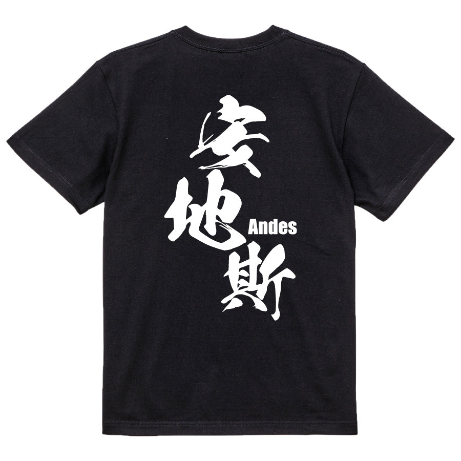 2025020840260 FOOL Original T-Shirt black