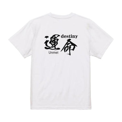 Japanese Kanji Graphic T-Shirt – Original FOOL Design 202501280303 - Black