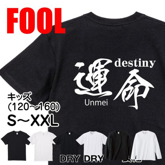 Japanese Kanji Graphic T-Shirt – Original FOOL Design 202501280303 - Black