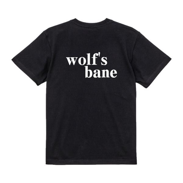 Japanese Kanji Graphic T-Shirt – Original FOOL Design 202501280322 - Black