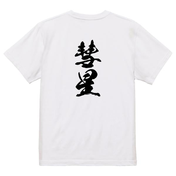Japanese Kanji Graphic T-Shirt – Original FOOL Design 202501280354 - Black