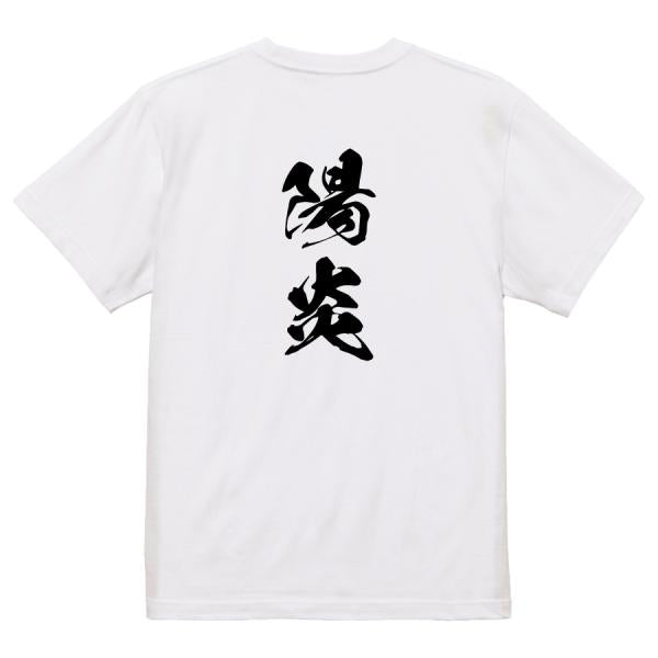 Japanese Kanji Graphic T-Shirt – Original FOOL Design 202501280385 - Black