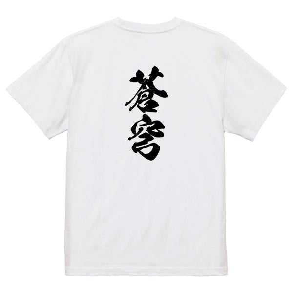 Japanese Kanji Graphic T-Shirt – Original FOOL Design 202501280386 - Black