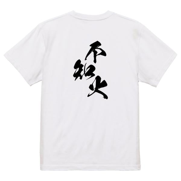 Japanese Kanji Graphic T-Shirt – Original FOOL Design 202501280399 - Black