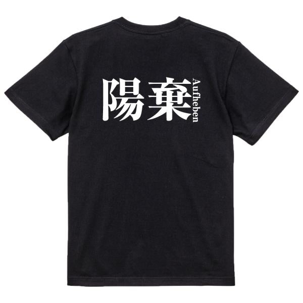 Japanese Kanji Graphic T-Shirt – Original FOOL Design 202501280422 - Black