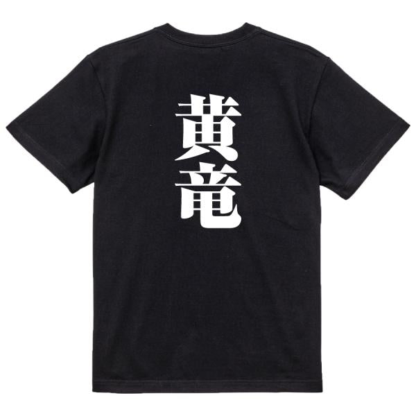Japanese Kanji Graphic T-Shirt – Original FOOL Design 202501280702 - Black
