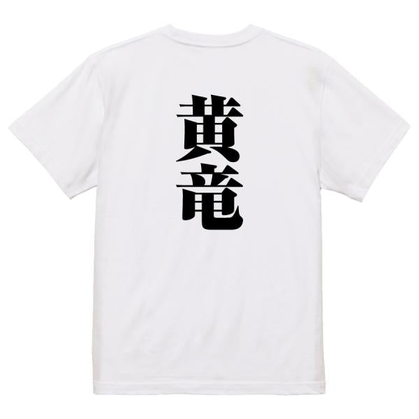 Japanese Kanji Graphic T-Shirt – Original FOOL Design 202501280702 - Black
